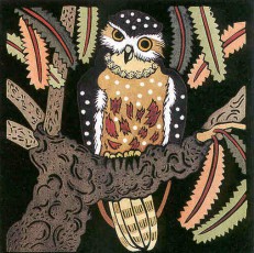 Boobook Owl