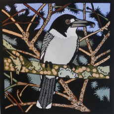 Butcher Bird