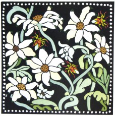 Flannel Flowers 2