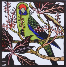 Green Rosella.