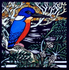 Kingfisher 2