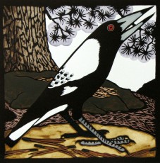 Magpie - Oatlands