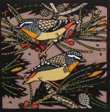 Spotted Pardalotes
