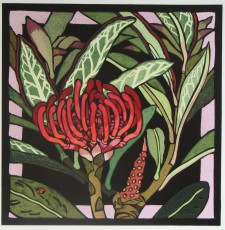 Waratah 3