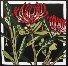 Waratah 4