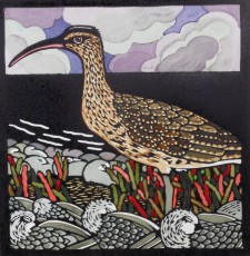 Whimbrel